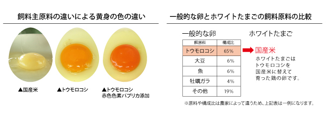 ホワイトたまご 国立ファーム